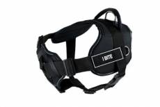 Dean & Tyler New DT FUN Dog Harness With Padded Chest