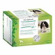 Laboratorios Heel - GASTEEL aide digestive pour les chiens en poudre 30 enveloppes de 3 gr.