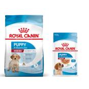 Pack bi-nutrition : croquettes + sachets Royal Canin
