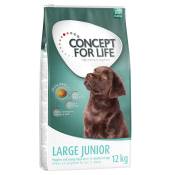 2x12kg Concept for Life Large Junior - Croquettes pour