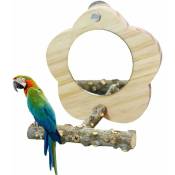 Miroir Oiseau Perroquet, Perche Support D'oiseau avec