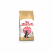 Royal Canin - Croquettes pour chaton Kitten Maine Coon