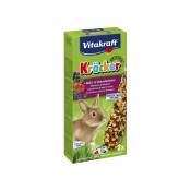 Vitakraft - Kräcker fruits des bois et baies de sureau lapins nains p/2