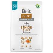 Lot Brit Care - Grain-free Senior & Light saumon, pommes de terre (2 x 3 kg)