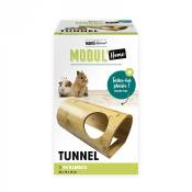 ModulHome - Tunnel en bambou