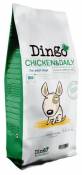 Chicken & Daily 12 KG Dingo