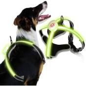 Hengda - Harnais pour chien led anti-traction Ajustable. confortable. Harnais Chien Anti Traction s