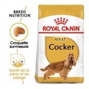 Royal Canin Cocker Adult - Croquettes pour chien-Cocker