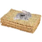 Tapis d'herbe tissé tapis de lit pour petit animal