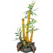 Amtra - Plante Bambou Japonaise 9x8x18.5 cm décoration