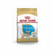 Royal Canin - Croquettes pour chiot Chihuahua Breed