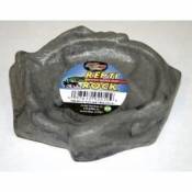 Abreuvoir extra small -Repti Rock Water Dish- pour reptiles - Zoomed