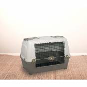 Dmora Cage de transport rigide pour chiens ou chats en polypropylène, cage portable avec tapis, 100% Made in Italy, 76x45h54 cm, couleur grise, avec