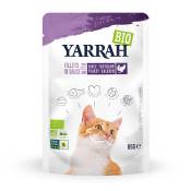 14x85g Yarrah Bio Filets en sauce dinde - Pâtée pour chat