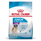 2x15kg Giant Junior Royal Canin - Croquettes pour chien