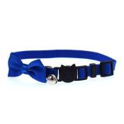 Collier chien ,noeud papillon et clochette et Boucle Securite - Bleu
