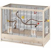 Giulietta 6 Cage en bois fsc pour canaris et oiseaux