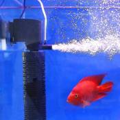 3 en 1 purificateur d'eau à aération silencieuse pompe interne filtre d'aquarium Submersible pompe à oxygène Submersi - Crea