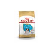 King Charles Cavalier Nourriture sèche pour Chiot 1,5 kg (3182550813051) - Royal Canin