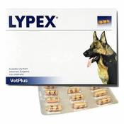 Lypex Pancreatic Enzyme Capsules for Dogs (Pack of