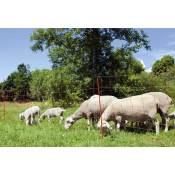 Kerbl Filet pour moutons OviNet 90 cm 27251