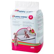 30x Puppy Trainer XL - Tapis absorbants pour chiot