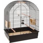Ferplast - greta Noir Cage pour perruches et calopsittes. Variante greta - Mesures: 69.5 x 44.5 x h 84 cm -