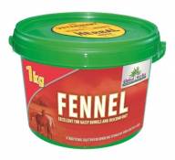 Global Herbs - Fennel x 1 Kg by Global Herbs