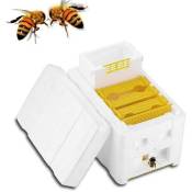 Outils d'apiculture boîte d'accouplement d'abeille boîte d'élevage en mousse boîte de pollinisation boîte d'élevage double couche