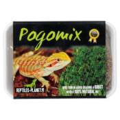 Reptiles Planet - Mix de Graines Pogomix pour Pogonas - 220g