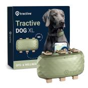 Traceur GPS Tractive DOG XL pour chien - 1 traceur