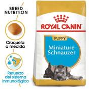Nourriture que Royal Canin Miniature Schnauzer Chiot Chiots (Junior) Chiens chiots (jusqu'љ 10 mois)