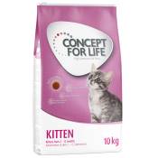 10kg Kitten Concept for Life Croquettes pour chat