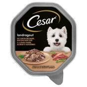 14x150g Mégapack Cesar Ragoût dinde, bœuf, herbes - Pâtée pour chien