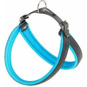Agila fluo 3-9 Harnais ergonomique pour chiens avec rembourrage moelleux. Fermeture avec cordonnet.. Variante 4 - Mesures: a=b 44-52 cm 20 mm - Bleu