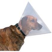 Animallparadise - une collerette de protection chien, l 44-50 cm/ 25 cm Transparent