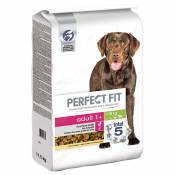 PERFECT FIT Adult > 10 kg pour chien - 2 x 11,5 kg