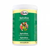 Quiko Spiruline – Protéines Naturelles et acides