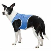 Veste rafraîchissante taille XL pour chien.