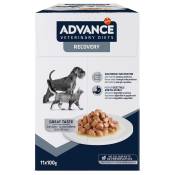 22x100g Advance Veterinary Diets Recovery - Pâtée pour chien