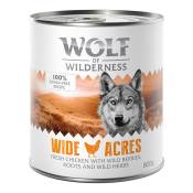 6x800g Wide Acres, poulet Wolf of Wilderness - Pâtée