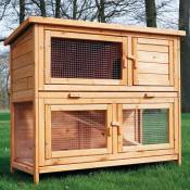 Cage Clapier Enclos lapin Extérieur en bois Haute