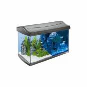 Tetra - AquaArt Aquarium en Kit Complet avec led Blanc 60 l