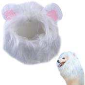 Chapeau de perruque pour animaux de compagnie, bandeau pour chien et chat, vêtements pour chien et chat, bandeau lion blanc(S)
