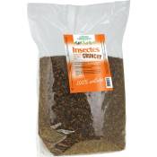 Insectes séchés Crunchy 3 kg • Friandise protéinée