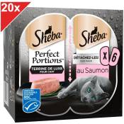 Perfect Portions 120 Barquettes terrine au saumon pour chat 37,5g (20x6) - Sheba