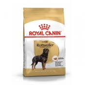 Royal Canin Rottweiler Adult - Croquettes pour chien-Rottweiler