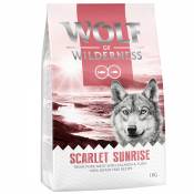 2kg Adult Scarlet Sunrise saumon, thon Wolf of Wilderness Croquettes chien + 1 kg offert !