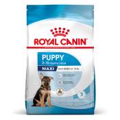 Royal Canin Maxi Puppy pour chiot - 10 kg