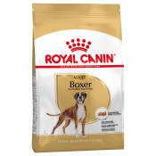 2x12kgAdult Boxer Royal Canin Breed - Croquettes pour